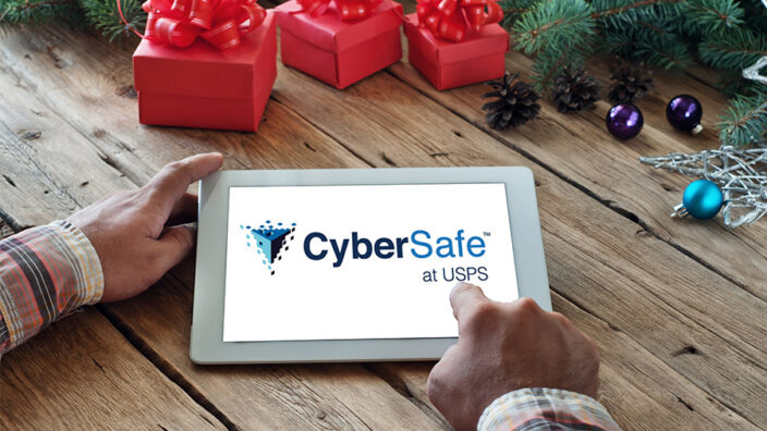 CyberSafe holidays