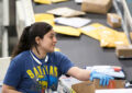 Mail handler sorts packages