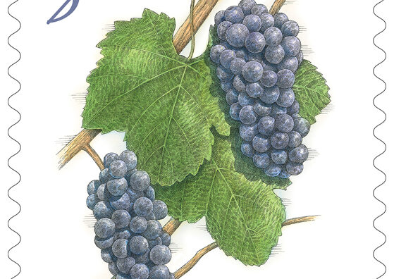 The Grapes stamp