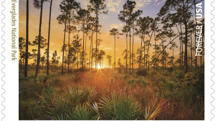 The Everglades National Park stamp