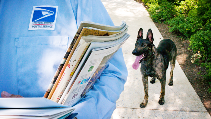 A letter carrier with a bundle of mail being followed by a dog.