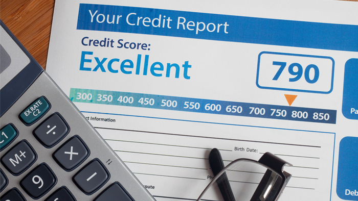 Wellness credit report