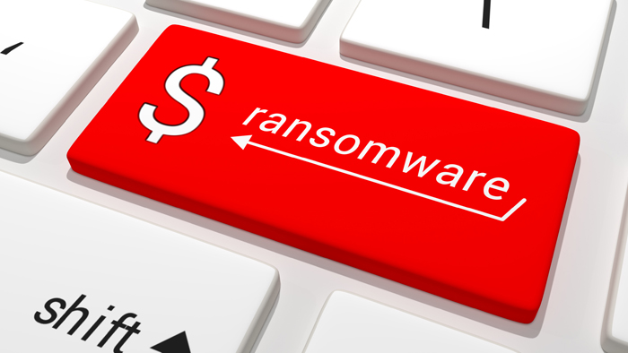 “Ransomware” captures data and holds it hostage.