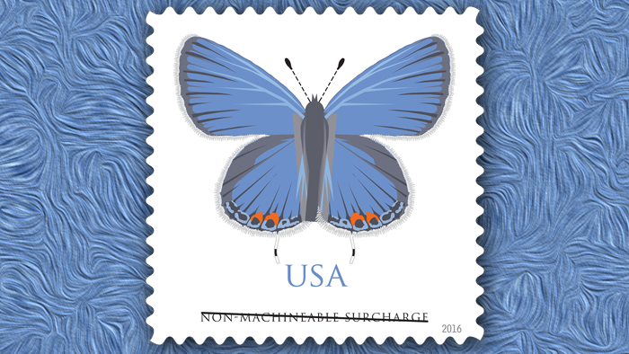 USPS has announced plans to release an Eastern-Tailed Blue butterfly stamp.