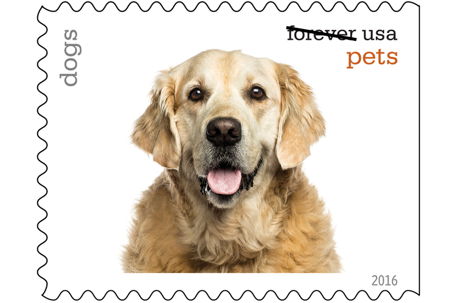 Pets stamp