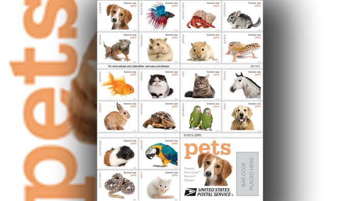 The Pets stamp pane