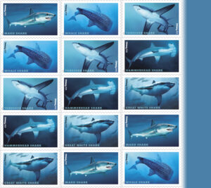 The Sharks stamps will feature realistic images of five species: the mako, thresher, great white, whale and hammerhead sharks.