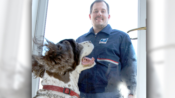 USPS is reminding employees to take precautions to avoid dog attacks during the holidays.