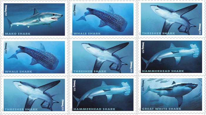 Shark stamps