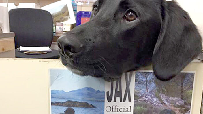 Jax, the “official stamp licker” at the Portree Post Office in Scotland