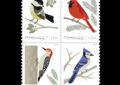 Digital illustrations of four birds