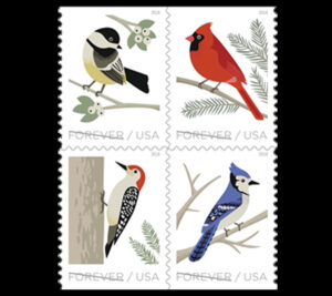 Digital illustrations of four birds