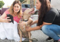 Woman photographs another kissing dog