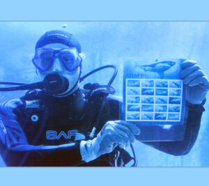 Diver holds stamp sheet in water tank