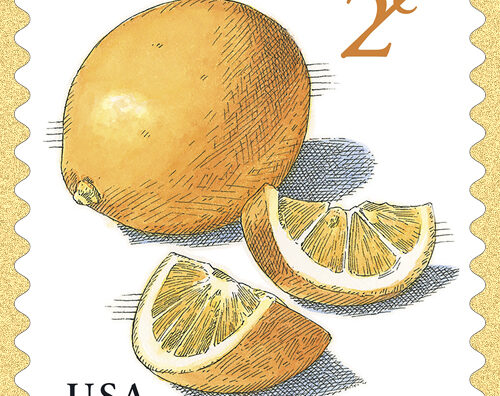 The Meyer Lemons stamp
