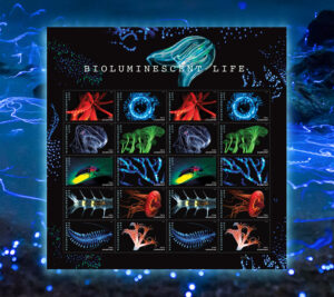 Bioluminescent stamp sheet
