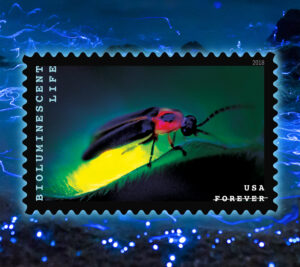 Stamp depicting a firefly
