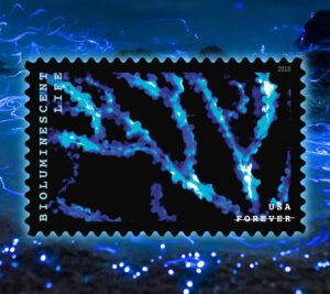 Stamp depicting bamboo coral