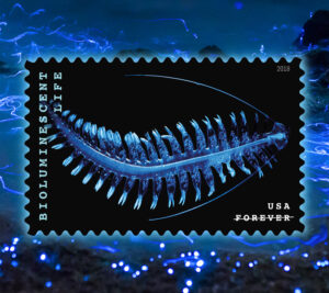 Stamp depicting a marine worm