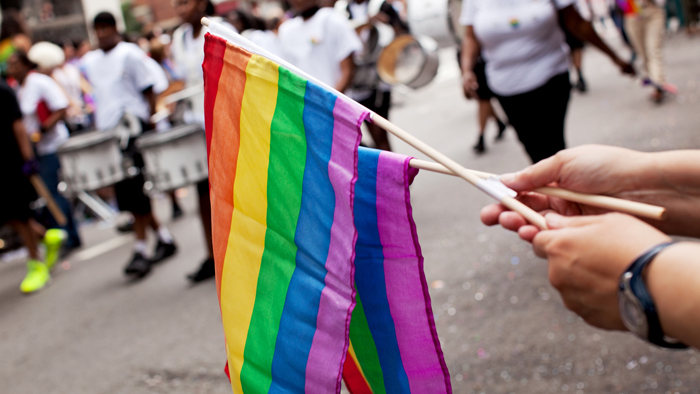 Two hands holding rainbow flags