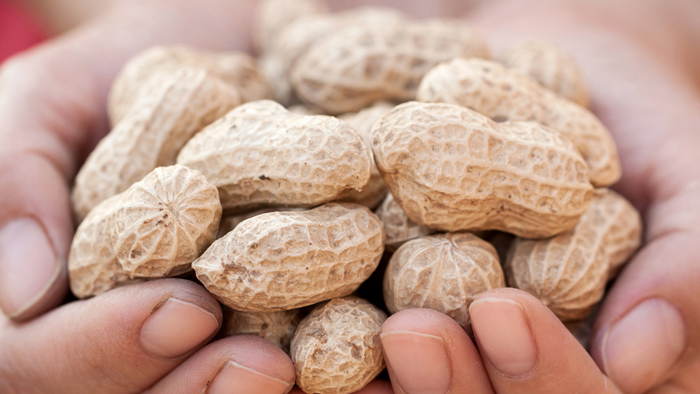 February is National Peanut Month