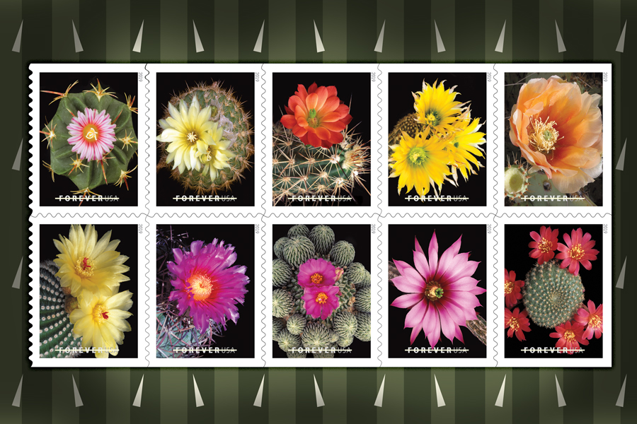 10 stamps showing flowering cacti