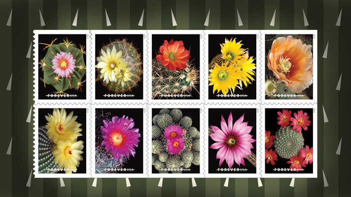 The Cactus Flowers stamps