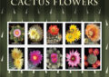 Cactus Flowers stamps