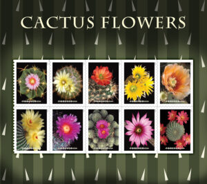 Cactus Flowers stamps