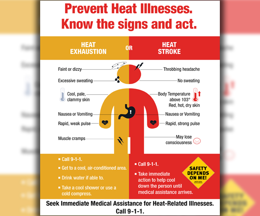 Illustration showing body surrounded by descriptions of heat illness symptoms
