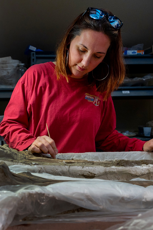 Woman touches a fossilized dolphin skull