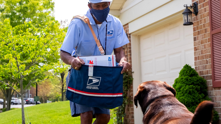 A male letter carrier uses his mailbag as protection from an approaching dog