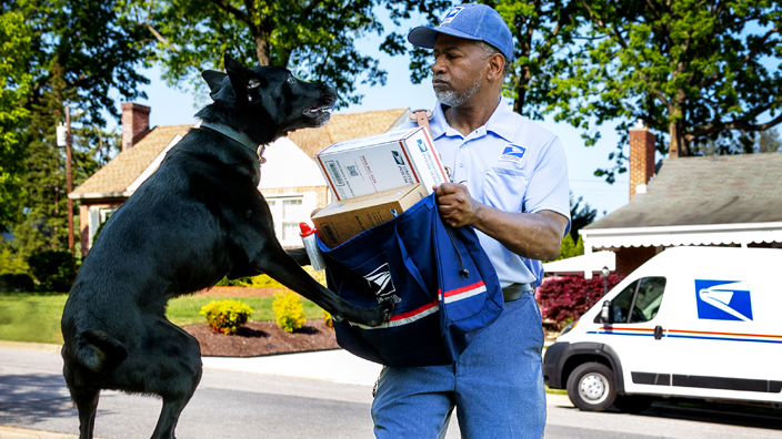 A letter carrier uses his mail satchel to block an attack from a dog.