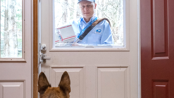 A dog sits in front of a door with a letter carrier on the other side visible through a window in the door