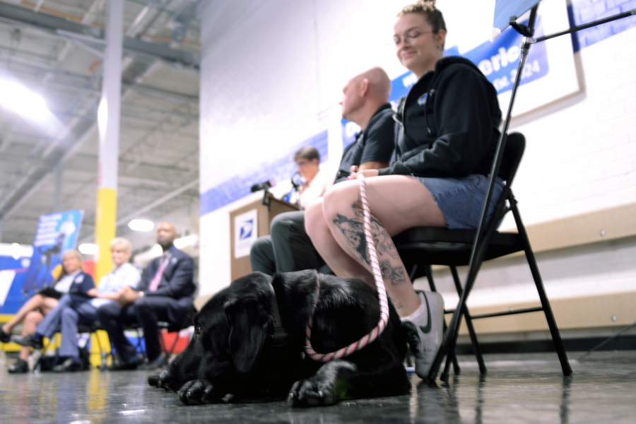 A leashed dog takes a nap on the floor in front of a chair where its caretaker is seated.