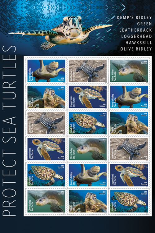 An image of the Protect Sea Turtles stamps will pane