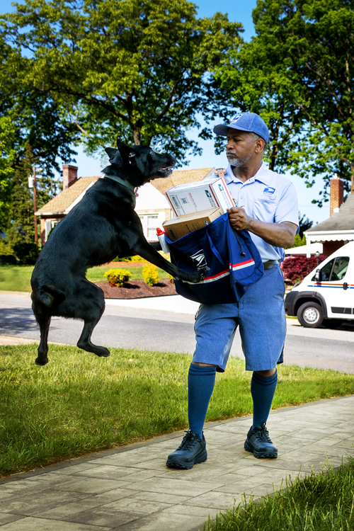 In this June image, Timothy “T.J.” Jackson, a Linthicum Heights, MD, letter carrier, shows how carriers can use their satchel to protect themselves from aggressive dogs.