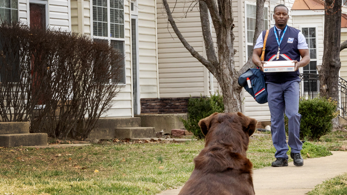 A dog sits on a sidewalk and watches a man in a postal uniform approach while holding a Priority Mail package in a defensive posture
