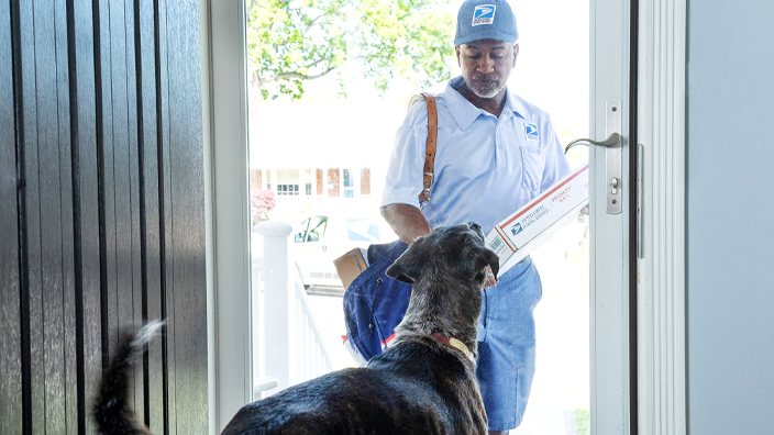 A dog stands inside a home and watches as a letter carrier delivers mail on the other side of a front door