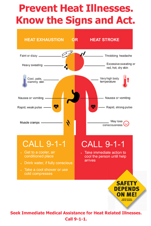 A graphic that lists symptoms and treatments for heat exhaustion and heat stroke.