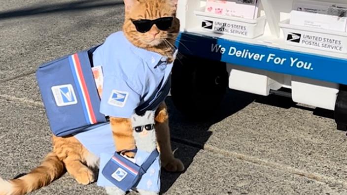 A cat wearing a mini postal uniform is seen near a toy mail delivery vehicle