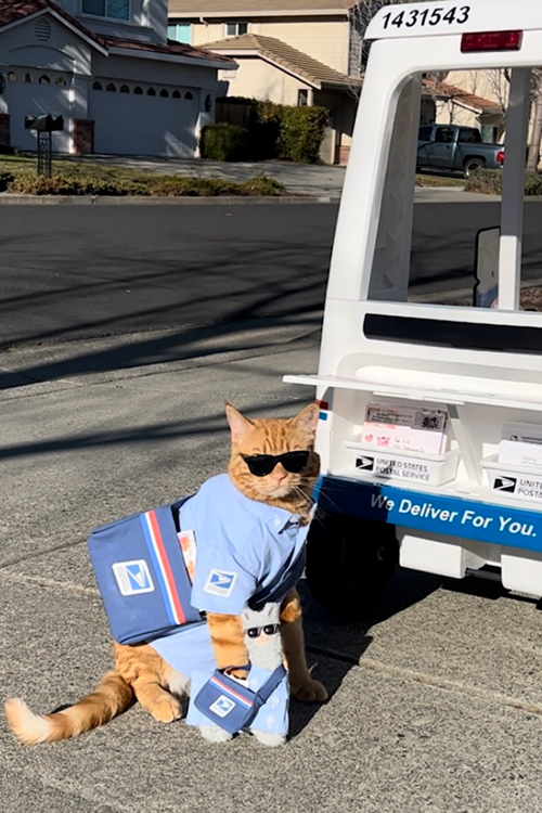 A cat wearing a mini postal uniform is seen near a toy mail delivery vehicle
