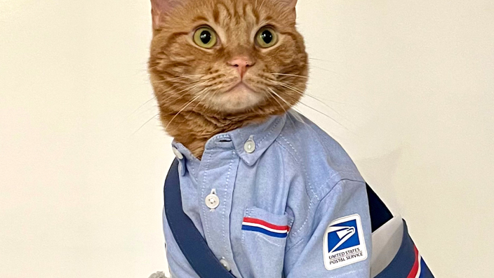 A cat dressed like a postal worker