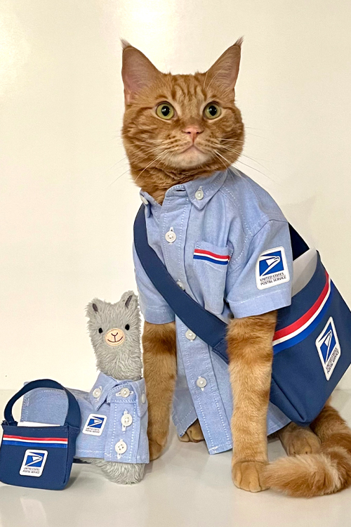A cat dressed like a postal worker