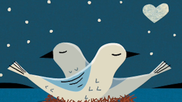 Four stamps featuring illustrations of birds