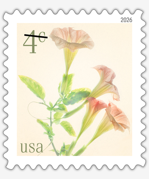 A stamp image of four vining flowers on a cream-colored background.