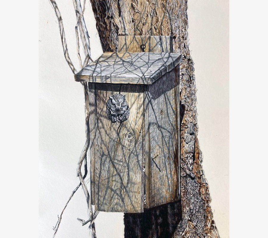 Painting of an owl peeking out of a birdhouse