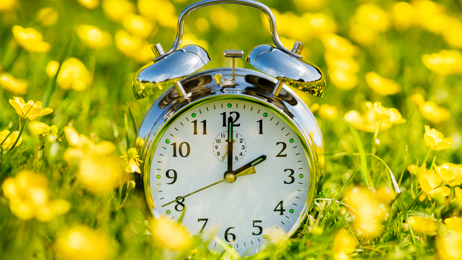 An analog clock displaying 2 o’clock and sitting among yellow flowers