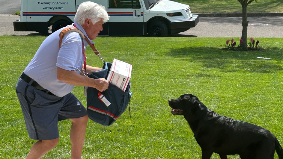USPS letter carrier in a front yard holding up a satchel between himself and a black dog