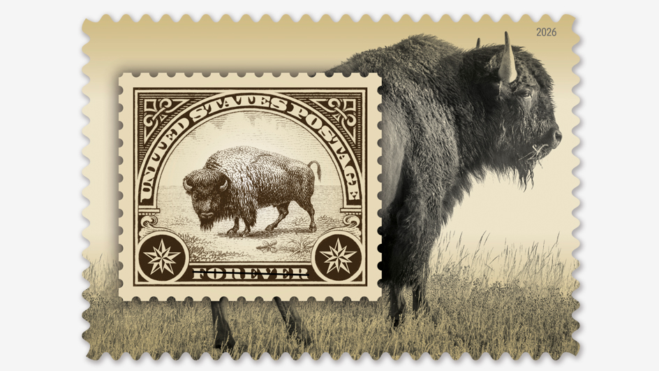 The sepia-toned American Bison stamp contains a modern photo of the animal with along with an inset image of a stamp of that animal that was issued in 1923.
